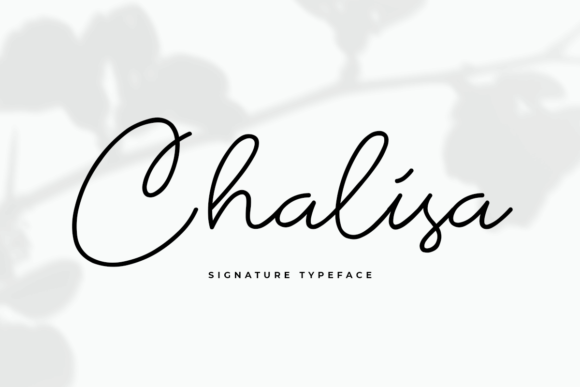 Chalisa: A Refined Script Font for Polished Digital Branding