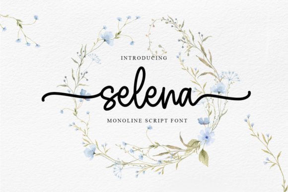 Selena Script Font for Modern Web Design