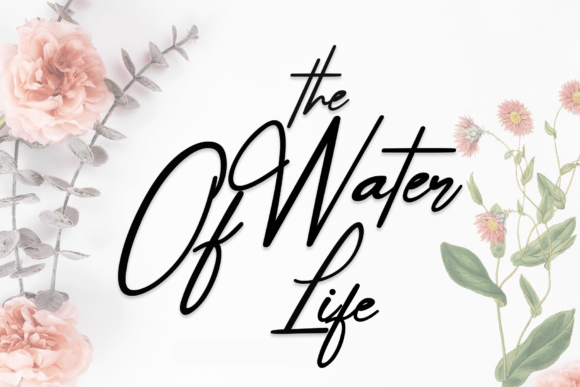 The Water of Life: A Whimsical Handwritten Font That Feels Like Your Brand