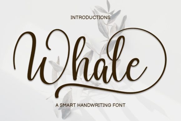 Whale: A Sweet, Round Handwritten Typeface for Warm Branding
