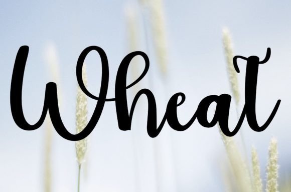 Wheat: A Handwritten Font That Feels Like a Warm Invitation